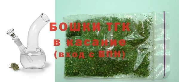 индика Армянск