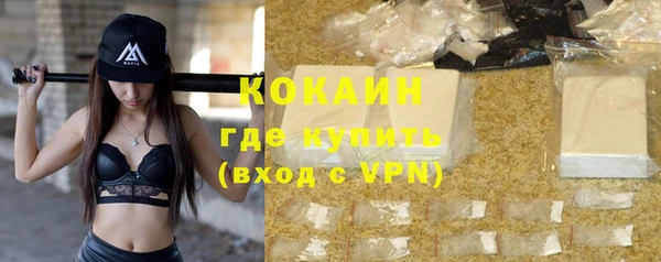 индика Армянск