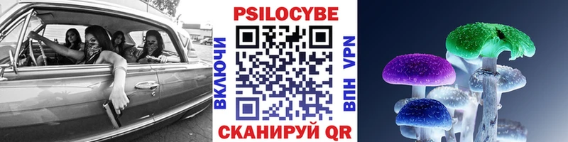 продажа наркотиков Коряжма Псилоцибиновые грибы Psilocybe
